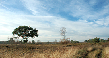 Omgeving De Brabantse Kempen